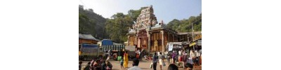 205. திருக்குற்றாலம்